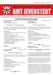 [PDF] Dokument ansehen - Amt Jevenstedt