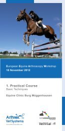 1. Practical Course - Arthrex Vet Systems