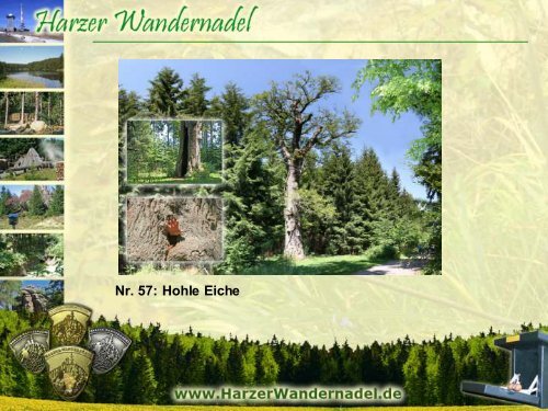 Die Harzer Wandernadel