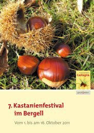 7. Kastanienfestival im Bergell - kastanienland.ch