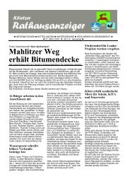 Druckversion PDF - in Klietz