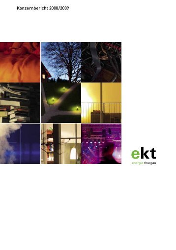 Konzernbericht 2008/2009 - EKT AG