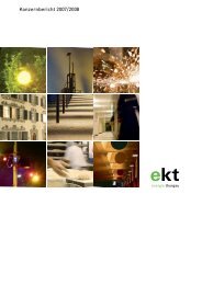 Konzernbericht 2007/2008 - EKT AG