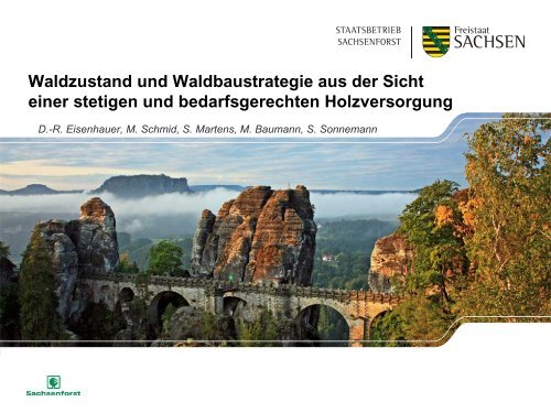 Waldzustand und Waldbaustrategie aus der ... - Freistaat Sachsen