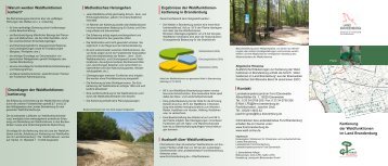 Kartierung der Waldfunktionen im Land Brandenburg