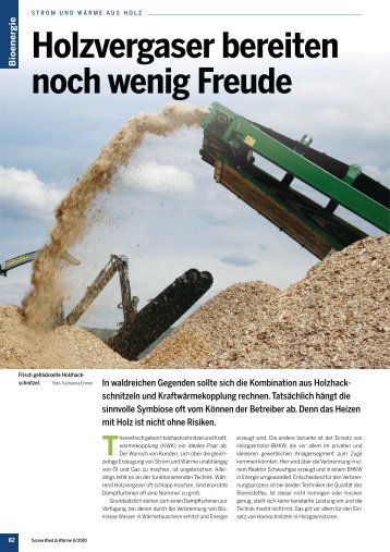 Strom und Wärme aus Holz - PROLiGNIS ENERGIE CONSULTING ...