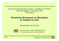 Thermische Verwertung von Miscanthus im Vergleich zu Holz im ...