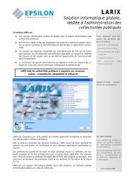 LARIX FR V 4.0 - 06.12.2007.pub - EPSILON Software Assistance SA