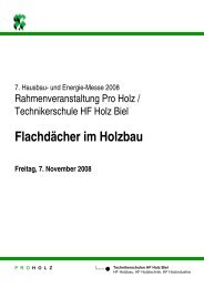 Flachdächer im Holzbau - Pro Holz Schweiz