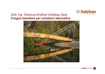 Holzbau Relazione ponti .pdf - Provincia di Bergamo