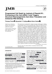 Programmed Cell Death by hok/sok of Plasmid - Department of Plant ...