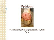 Pythiosis