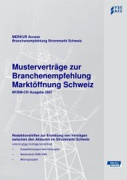 MERKUR Access Branchenempfehlung Strommarkt Schweiz - VSE