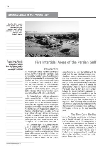 Five Intertidal Areas of the Persian Gulf