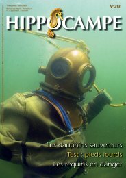 Les dauphins sauveteurs Test : pieds lourds Les requins en ... - Lifras