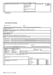 2008 Stromsteueranmeldung
