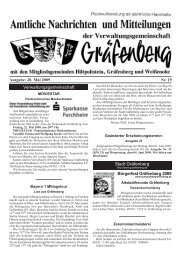 Bürgerfest Gräfenberg 2009