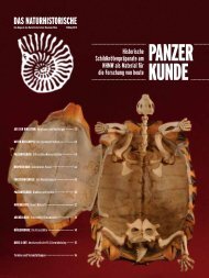 Schoonheid Van De Kunst 2014