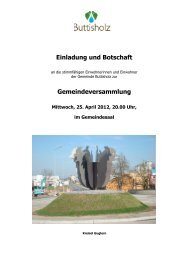 Botschaft Rechnung 2011 - Gemeinde Buttisholz