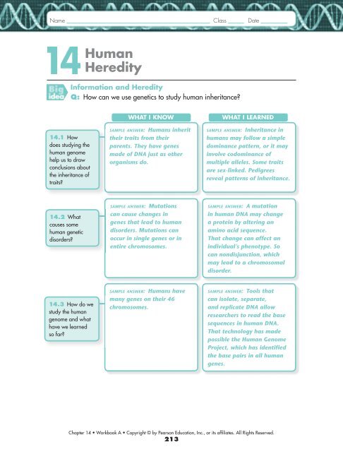 Human genetic disorders worksheet answers