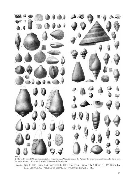 Naturforschende Gesellschaft Kanton Schwyz - Geologie und ...