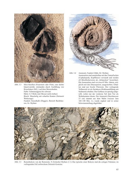 Naturforschende Gesellschaft Kanton Schwyz - Geologie und ...