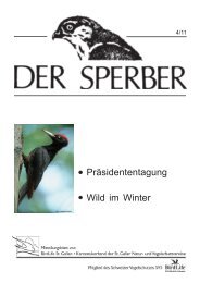 Sperber 4/11 - St.Galler Natur