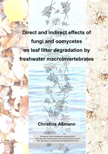 Direct and indirect effects of fungi and oomycetes on leaf litter ...