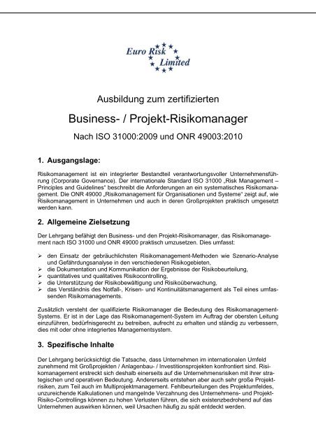 Business Projekt Risikomanager Euro Risk Limited