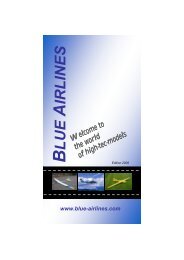 models - Blue Airlines