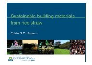 Sustainable building materials from rice straw - Bioenergy at ...