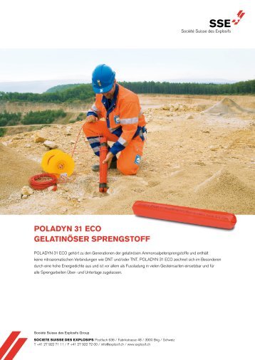 Technisches Datenblatt Poladyn 31 ECO - Valsynthese
