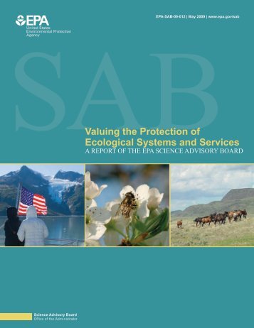 Valuing the Protection of Ecological Systems and Services Report