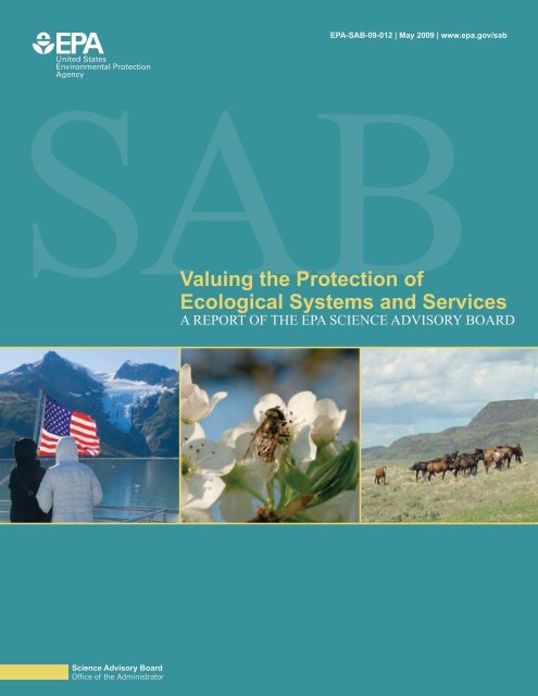 Valuing the Protection of Ecological Systems and Services Report