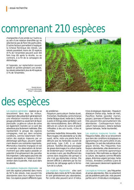 M au vaises herbes M au vaises herbes - Canne Progrès