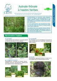 Aulnaie-frênaie à hautes herbes - CRPF Pays de la Loire