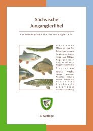 Sächsische Junganglerfibel - Landesverband Sächsischer Angler eV