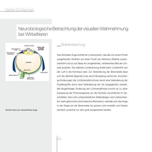 Download Diplomarbeit - Norbert Freudenthaler