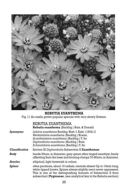 the genus rebutia 1895â€”1981 - Free
