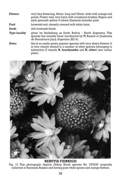 the genus rebutia 1895â€”1981 - Free