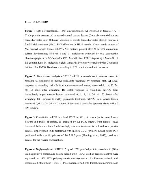 Tomato CDI as a Strong Chymotrypsin Inhibitor ... - Plant Physiology