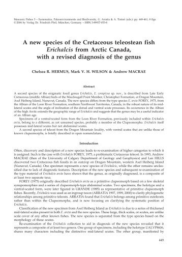 A new species of the Cretaceous teleostean fish Erichalcis from ...