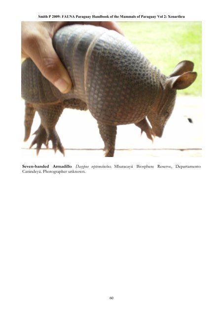 hbk mammals vol 2 - FAUNA Paraguay