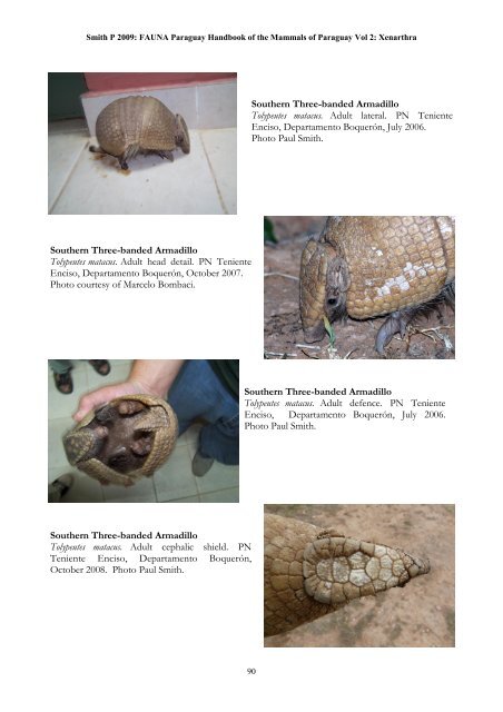 hbk mammals vol 2 - FAUNA Paraguay