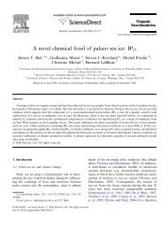 A novel chemical fossil of palaeo sea ice: IP25