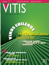 Hacia un nuevo horizonte - Vitis Magazine