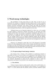 5. Wood energy technologies - Nest