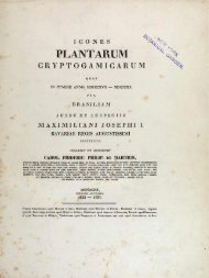 PLANTARUM %fy - Algaebase