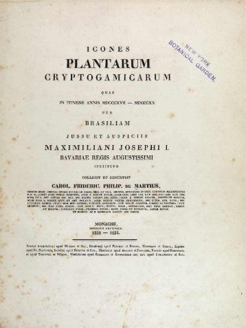 PLANTARUM %fy - Algaebase