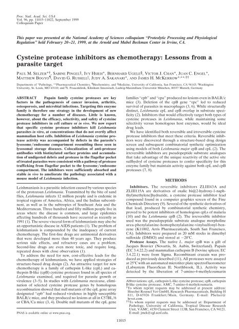 Cysteine protease inhibitors as chemotherapy - Proceedings of the ...